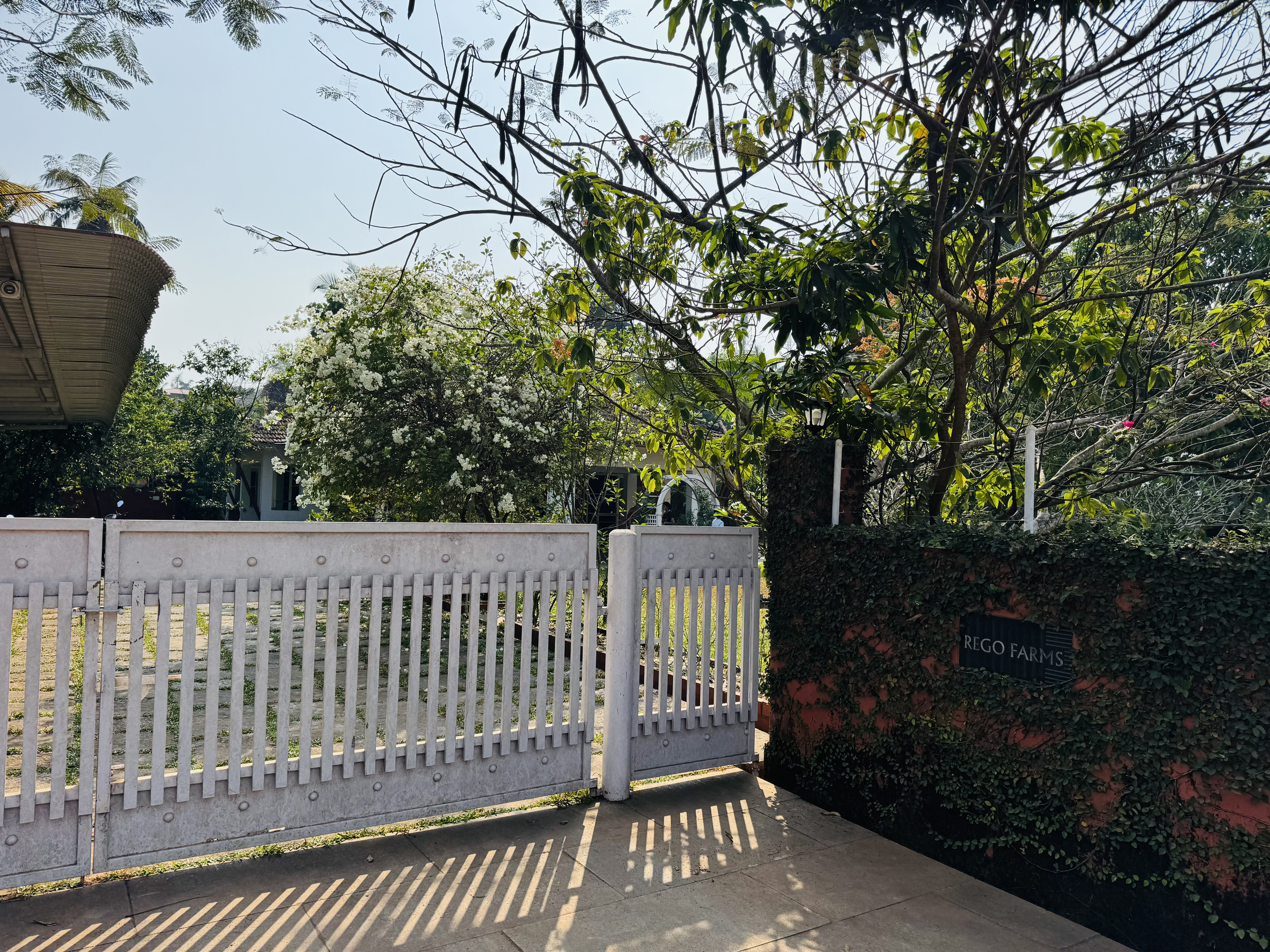 Rego Farms Outdoor Area